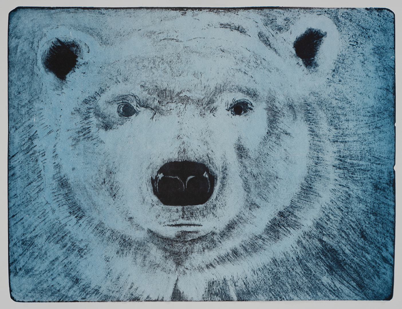 Bildet viser en tegning av nærbilde av en isbjørn som ser oss midt i øynene.