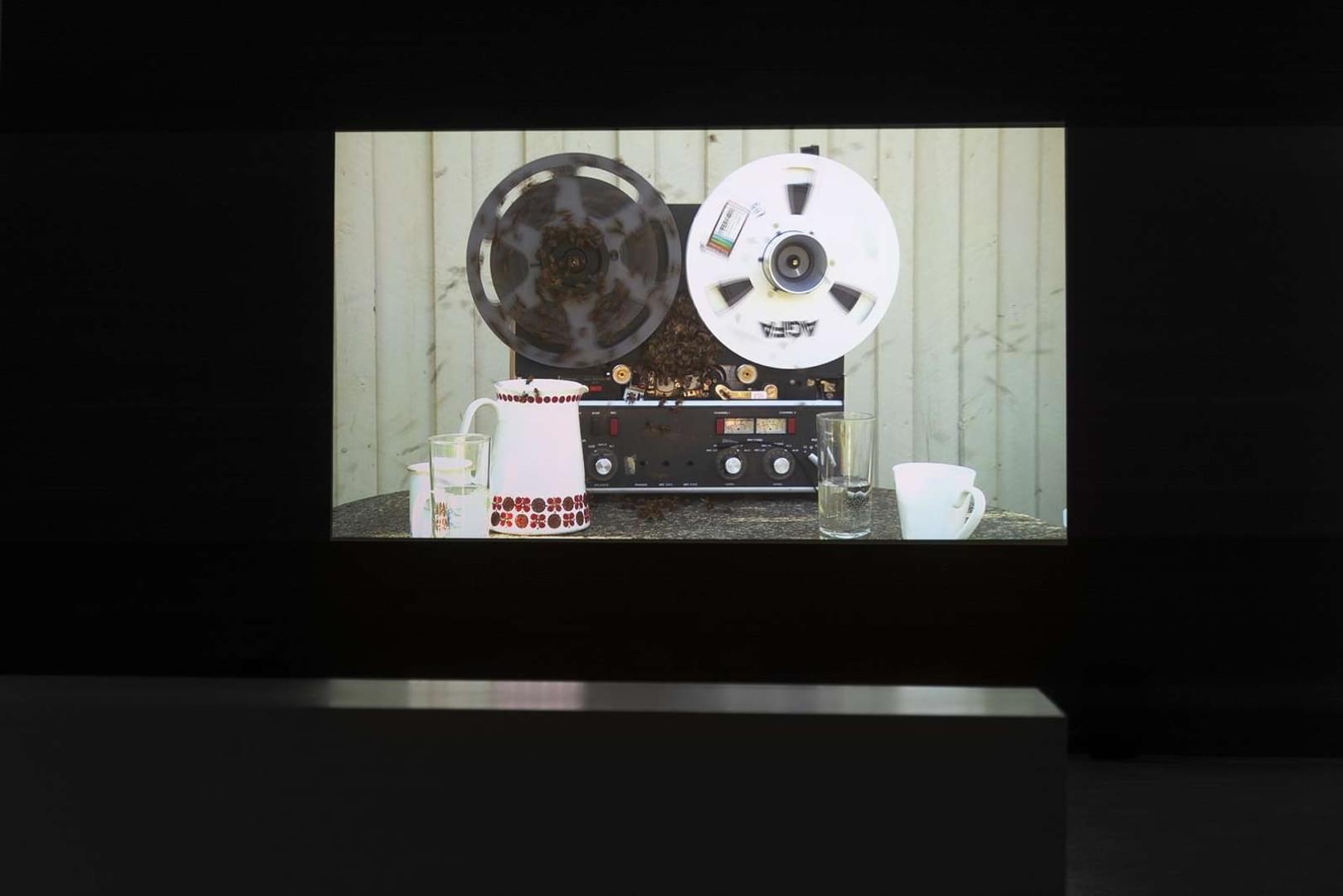 Bildet viser et videoverk hvor en gammel båndopptaker stor på et bord sammen med en kaffetermos og kopp. Det flyr fluer rund bordet og det sitter fluer på objektene som er plasser på bordet.