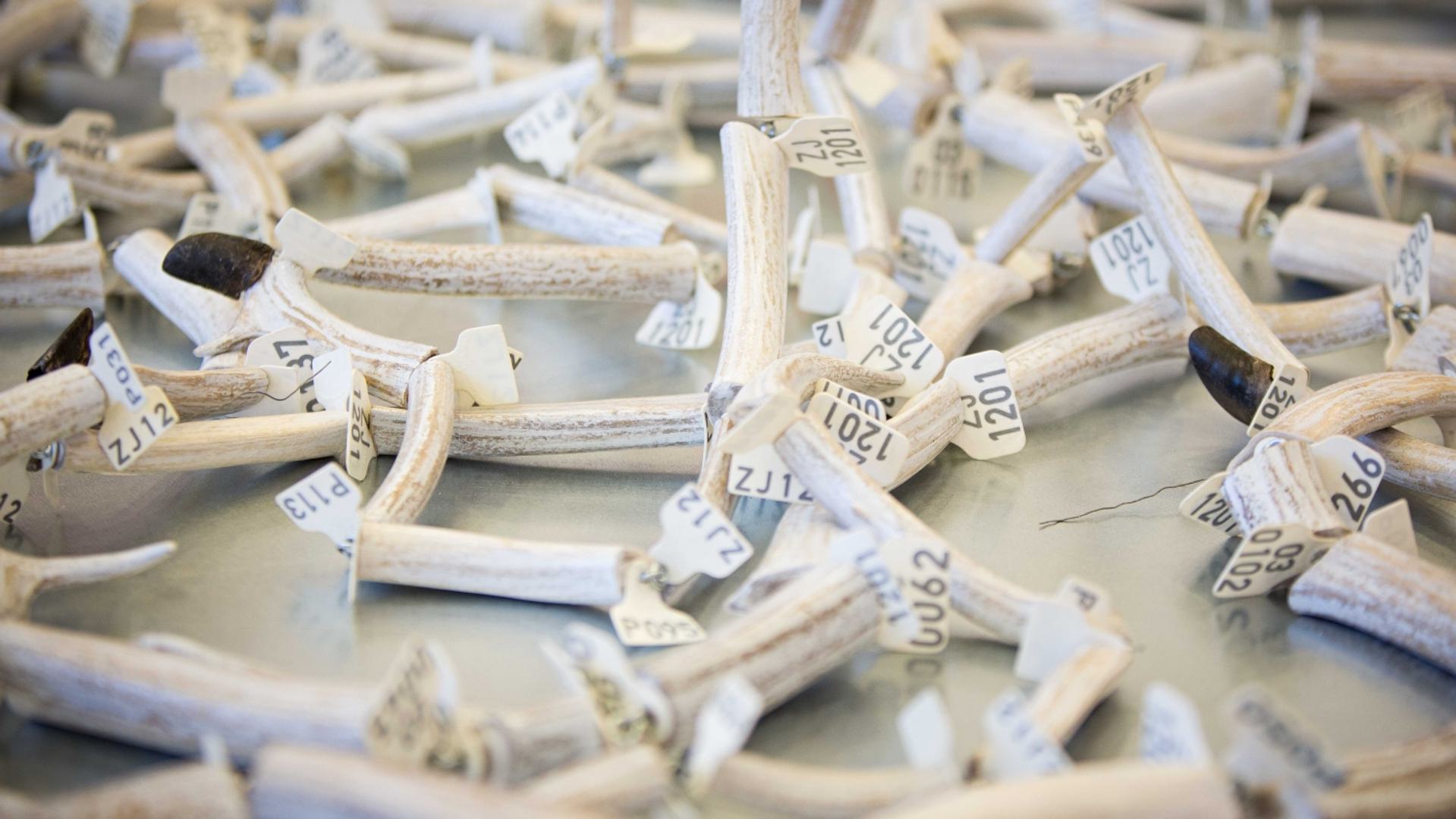 "Skjæringspunkter" utstillingen, foto: Nordnorsk Kunstmuseum | Kjetil Rydland