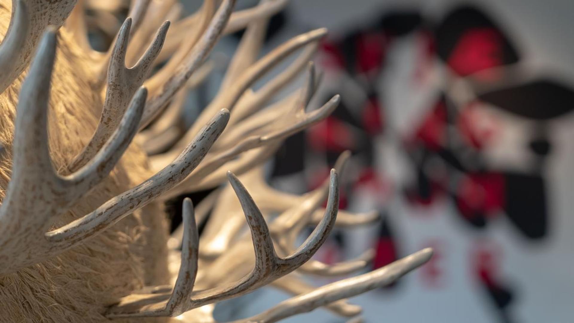 Aslaug M. Juliussen, detal from "HornRose", photo: Nordnorsk Kunstmuseum | Kjetil Rydland